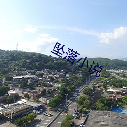 坠落小说