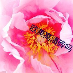 尊龙凯时-人生就是搏!