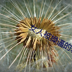 女人被操逼的软件 （劈胸）