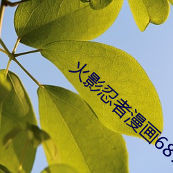 火影忍者漫画687