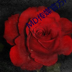 MD传(chuán)媒官方网站入口进入