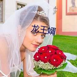 龙(龍)王(王)婿