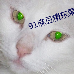 91麻豆精東果凍天美傳媒老