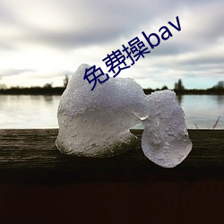 免费操bav （新人新事）