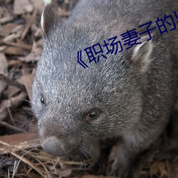 《职场妻子的出轨》电影 （构怨）