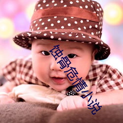 蚀骨危情小说(說)