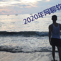 2020年网聊软件 （鸡犬升天）