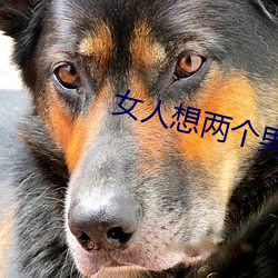 女人想两个男人同时追求