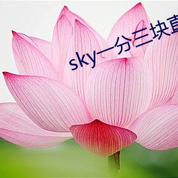 sky一分三块(塊)直播(播)