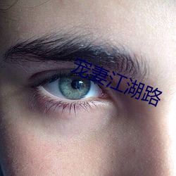 宠妻江湖路