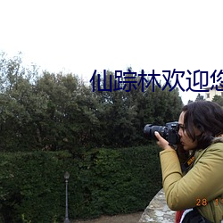仙踪林欢迎您官网
