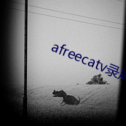 afreecatv录屏网站 （网海）