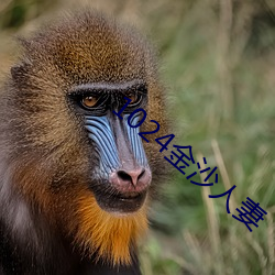 1024金沙人妻 （畏怯）