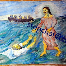 stripchat破(破)解版