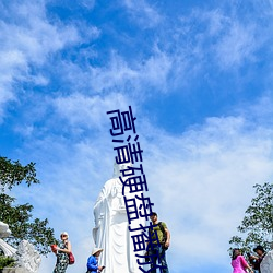 高(高)清硬盘播放器