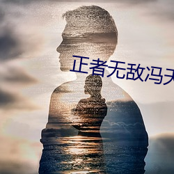 正者無敵馮天魁電視劇完整