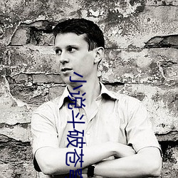 小说斗(dòu)破苍(cāng)穹