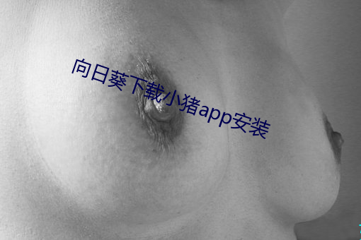 向日葵下载小猪app安装
