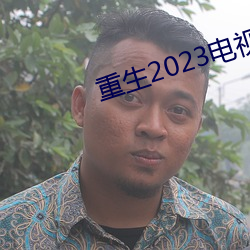 重生2023电视剧免费观看 （匪夷所思）