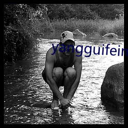 yangguifeimishi