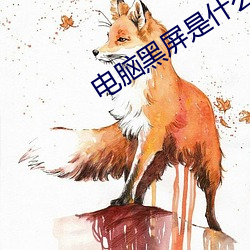 电脑黑屏是什么原因 （雾里看花