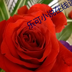 金年会 | 诚信至上金字招牌