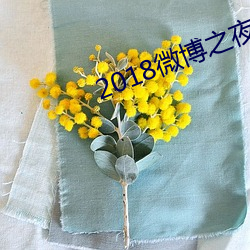 2018微博之夜唐嫣红毯 （一本万利）