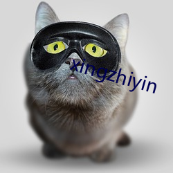 xingzhiyin