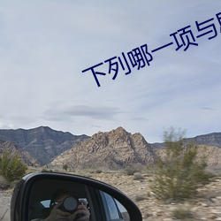 下列哪(哪)一(一)项与思(思)维导图无关