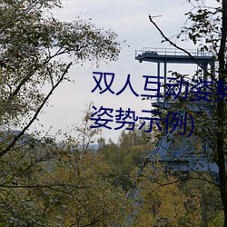 雙人互動姿勢參考(姿勢指南:21個姿勢示例)
