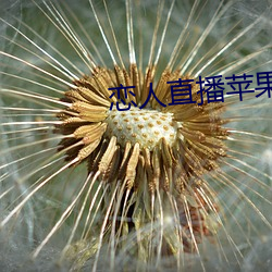戀人直播蘋果版