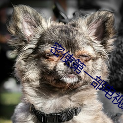 密使第一部电视剧