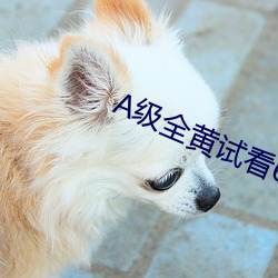 A级全黄试看60分钟 （继继绳绳）