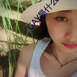 凯时|AG(AsiaGaming)优质运营商
