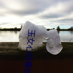 玉(玉)女心经蜜桃成熟时(時)