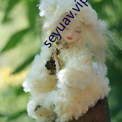 seyuav.vip （河东狮吼）