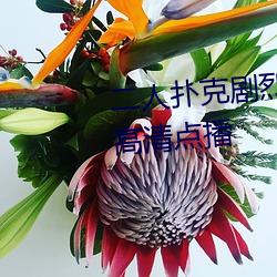 &#x4E8C;&#20154;&#x6251;&#20811;&#x5267;&#28872;&#x8FD0;&#21160;&#x89C6;&#39057;&#x6559;&#31243;&#x652F;&#25345;&#x9AD8;&#28165;&#x70B9;&#25773; | &#26368;&#x65B0;ios&#x4E0B;&#36733;
