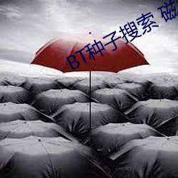 BT种子搜索 磁力屋