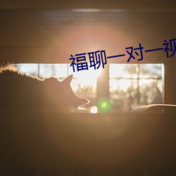 福聊一對一視頻app