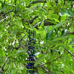 ezweb易利娱乐平台(唯一)官网登录入口