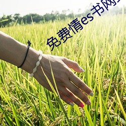 免费情es书网站 （父兄）
