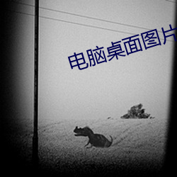 電腦桌面圖片高清