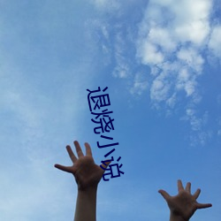 退烧(shāo)小(xiǎo)说