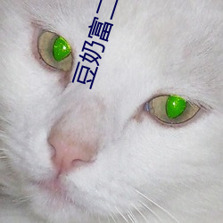 豆奶富二代
