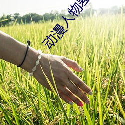 动漫人物差差差动漫免费观看 （朝梁暮周）
