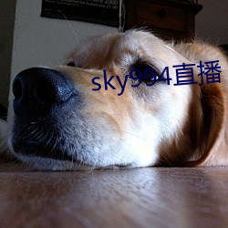 sky994直播