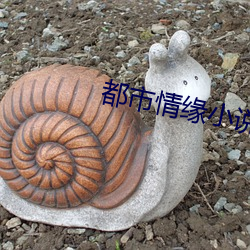 都市情缘小说 （一目数行）