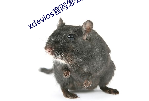 xdevios官网怎(zěn)么进