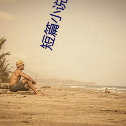 短篇小说集锦