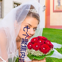 七个聚焦内容是什么